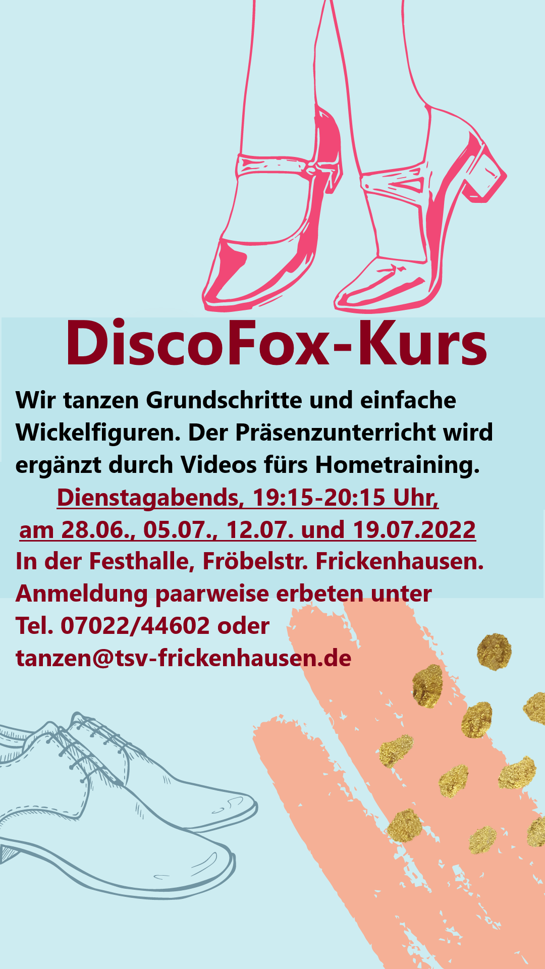 DiscoFox-Kurs