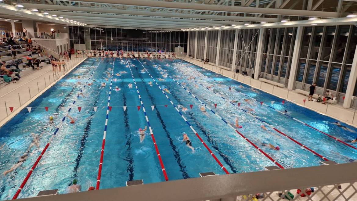 6x Gold, 1x Silber und 1x Bronze für die TSV-Trias beim 24-Stunden-Schwimmen in Stuttgart