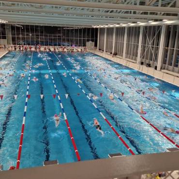6x Gold, 1x Silber und 1x Bronze für die TSV-Trias beim 24-Stunden-Schwimmen in Stuttgart